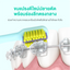 6580 Ortho Toothbrush