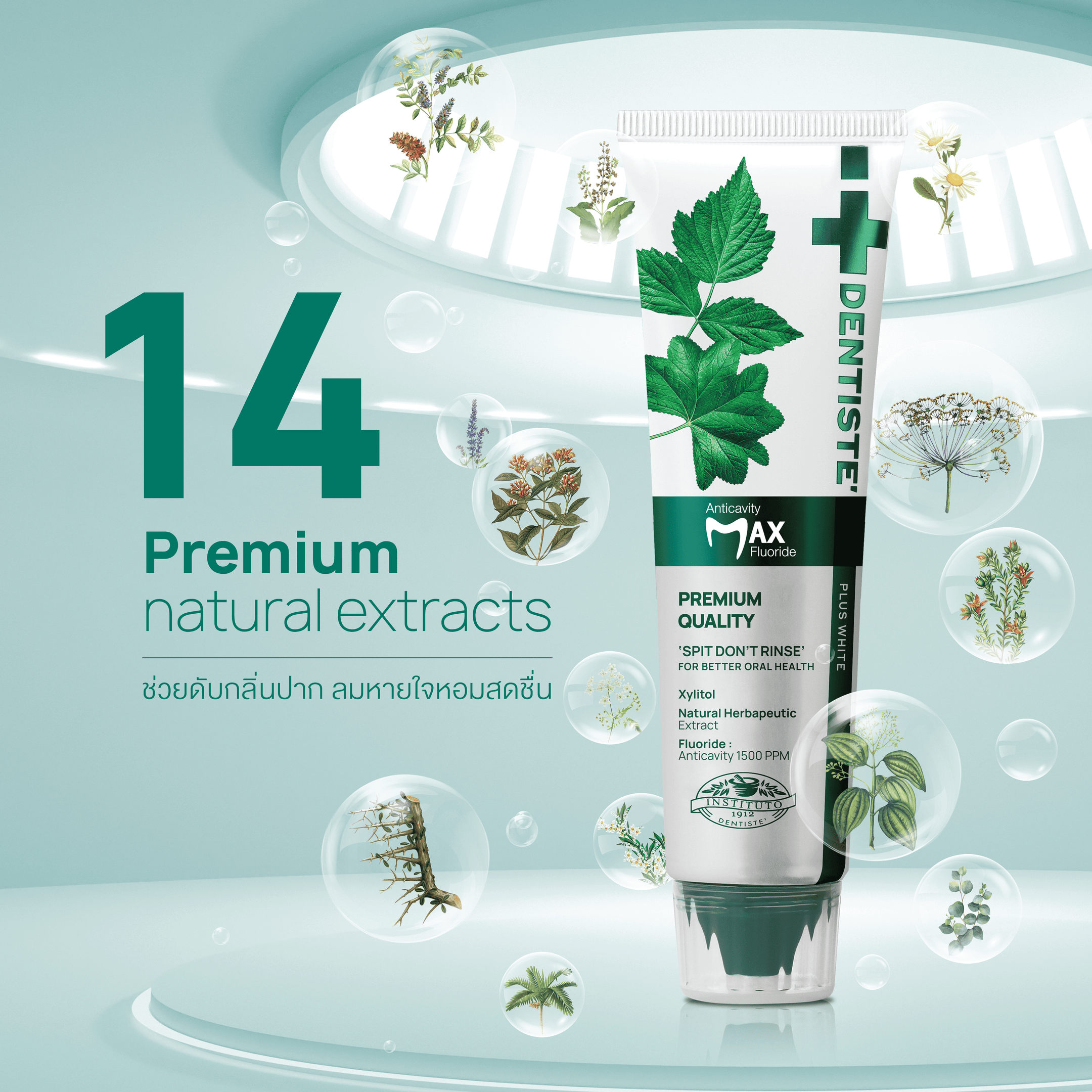 Anticavity Max Fluoride Toothpaste