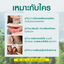 Mouth Spray Zinc Pyridinium