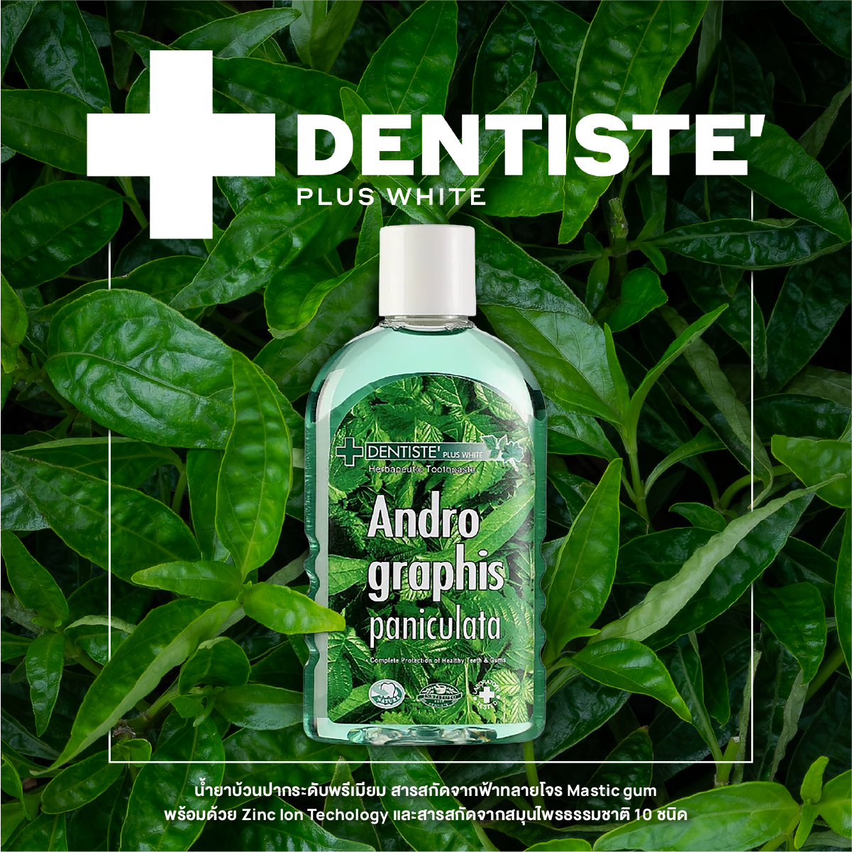 Andrographis Paniculata Plus Oral Rinse