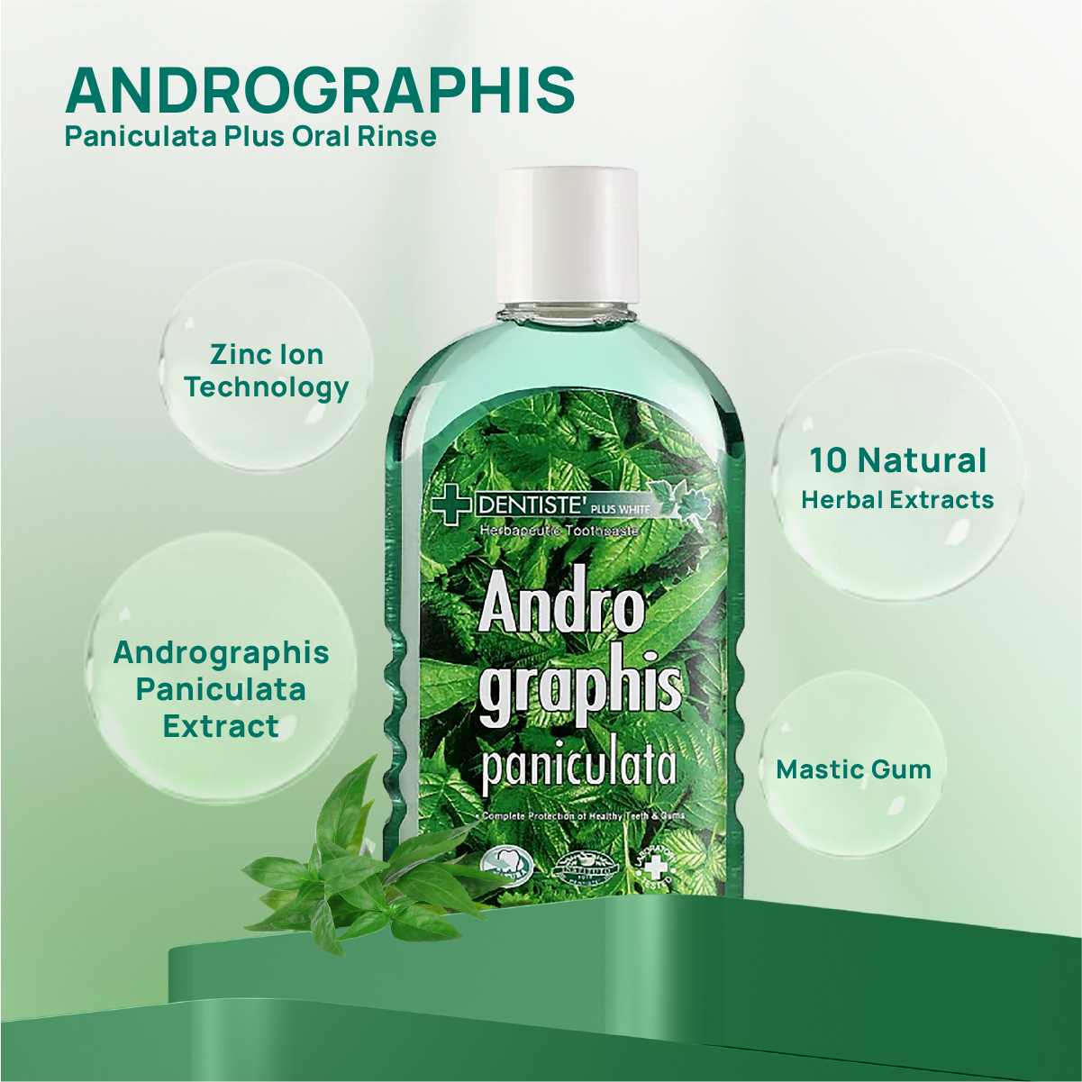 Andrographis Paniculata Plus Oral Rinse