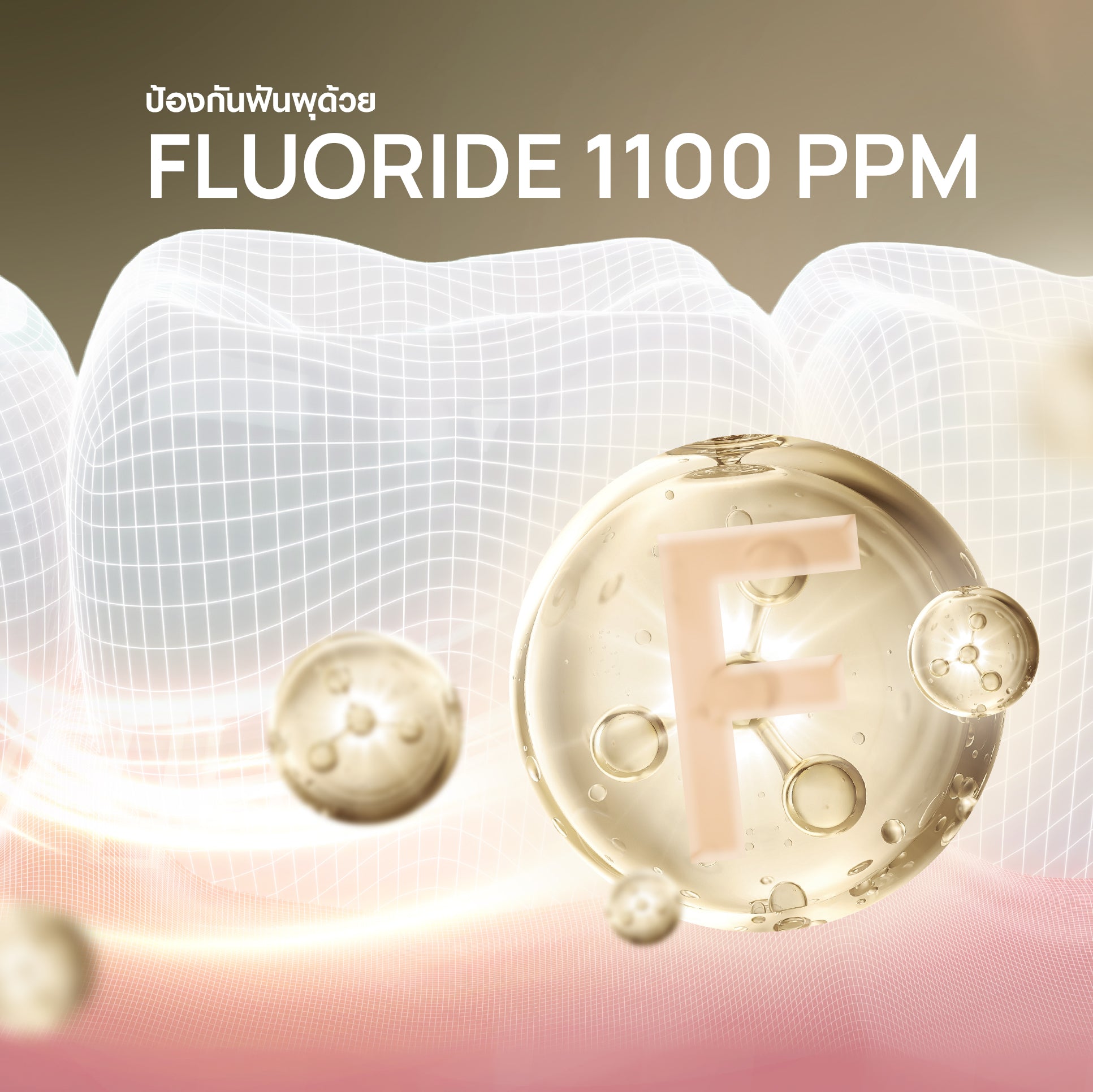 Premium Care Toothpaste