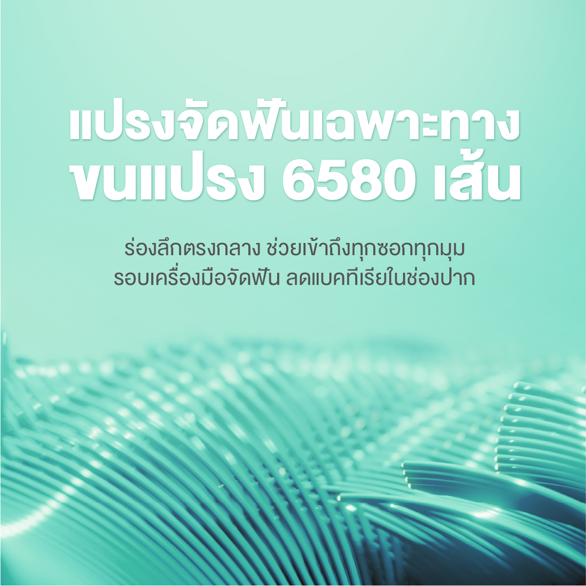 6580 Ortho Toothbrush