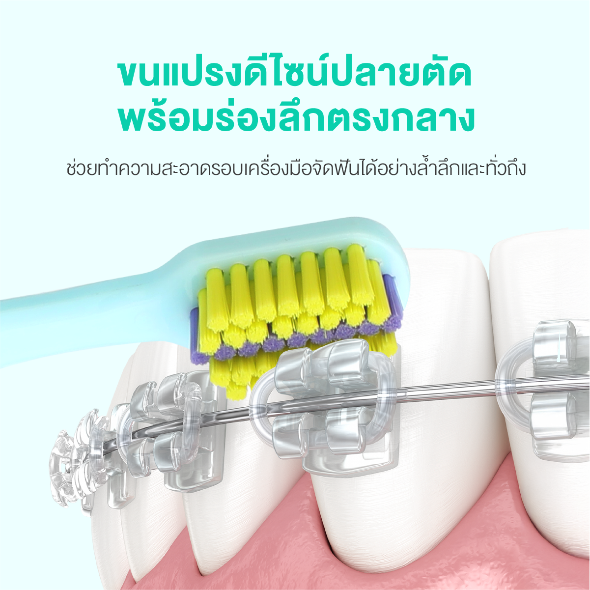 6580 Ortho Toothbrush
