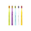 6580 Ortho Toothbrush