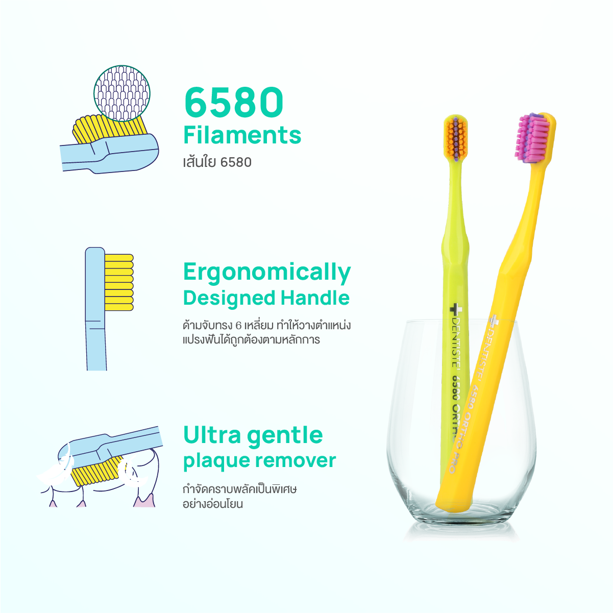 6580 Ortho Toothbrush