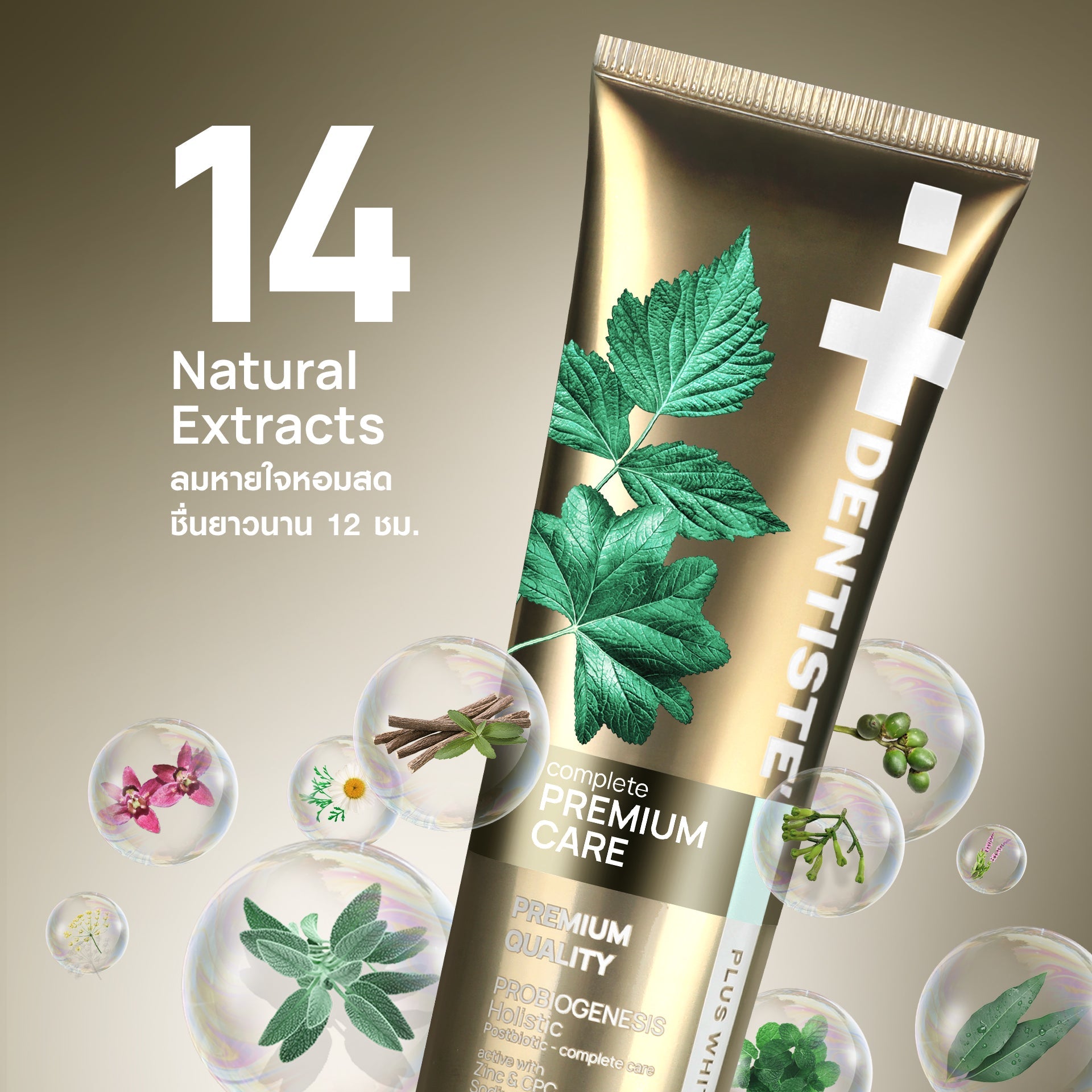 [Buy 2 Free 1] Dentiste Travel pack set - Image 14