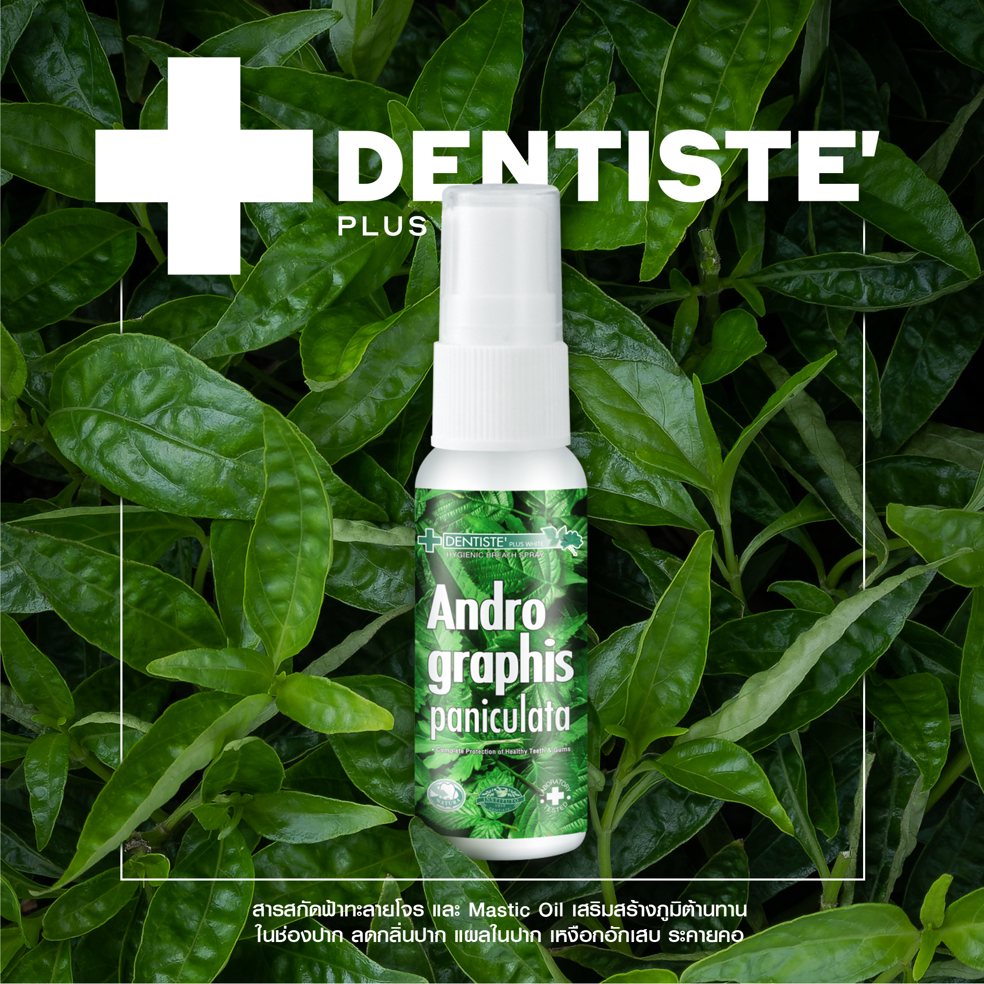 Andrographis Paniculata Mouth Spray