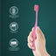 Ergonomic Toothbrush Twin Pack (Random Color) - Image 3