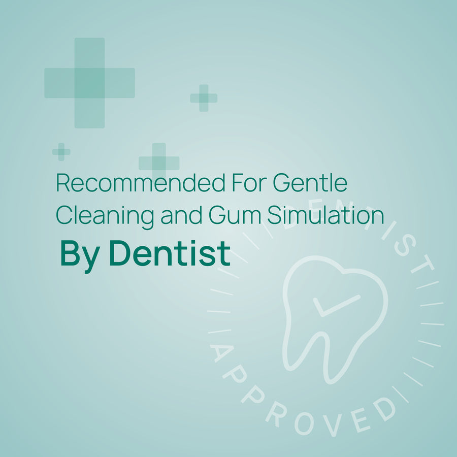 6580 Gum & Teeth Toothbrush - Image 3