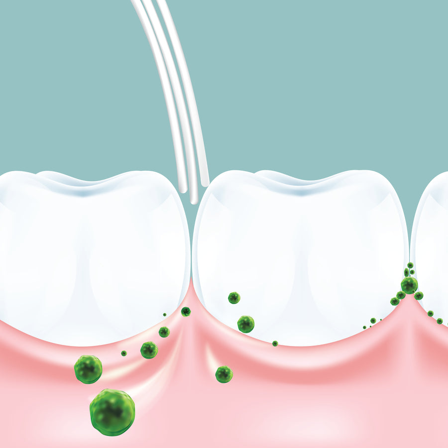 6580 Gum & Teeth Toothbrush - Image 5