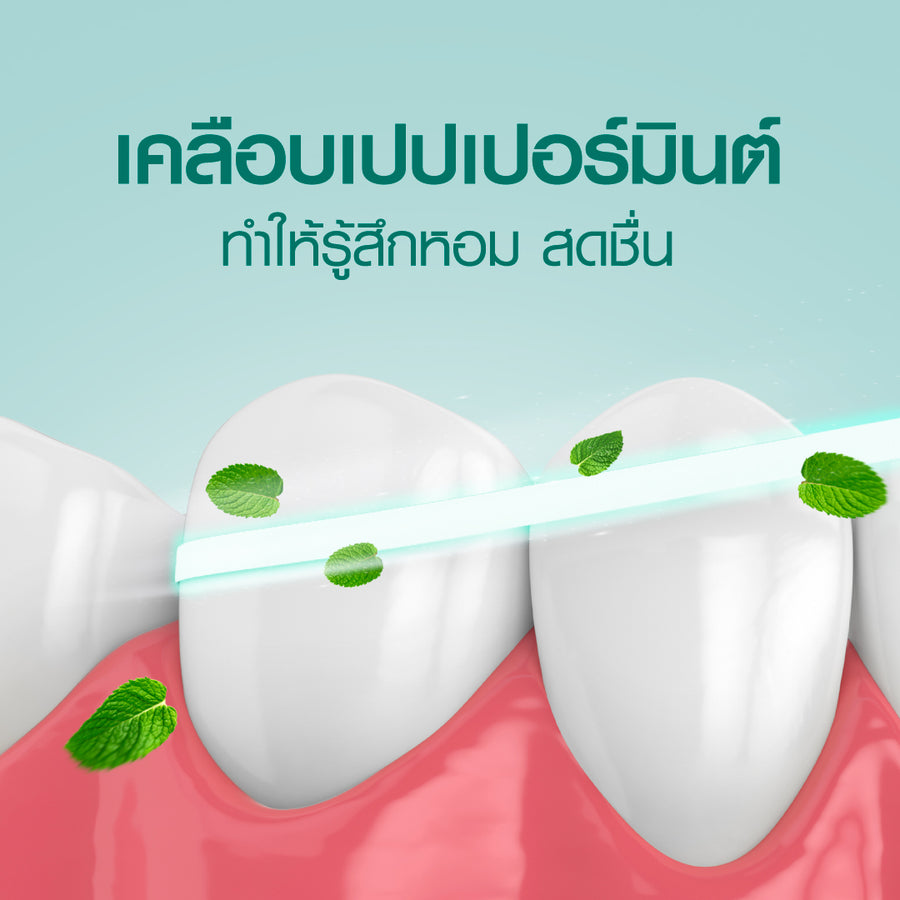 [Free Gift] PTFE Dental Floss (Original) 15 m. - Image 6