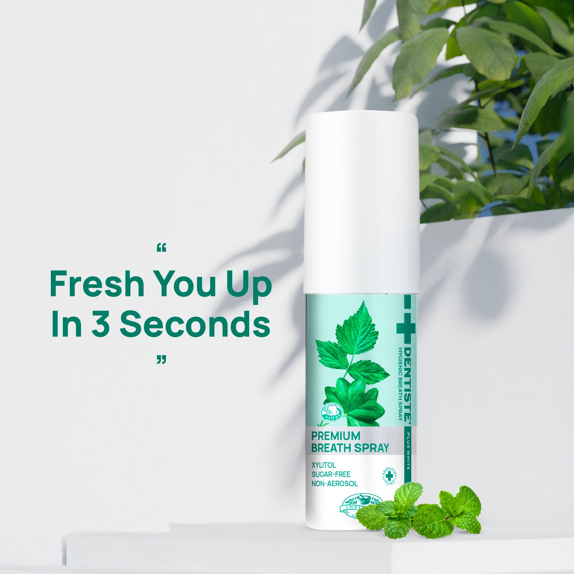 (Deal Duo) Dentiste' Hygienic Breath Spray 15 ml. & Dentiste' Sukkiri Love Mint 20 tab