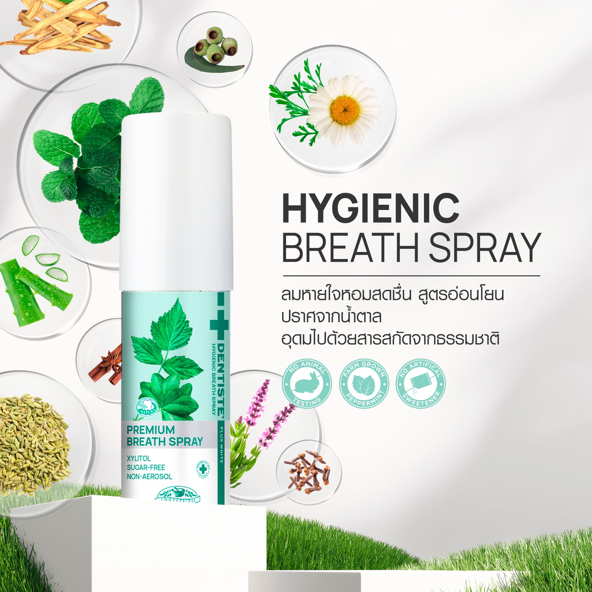 (Deal Duo) Dentiste' Hygienic Breath Spray 15 ml. & Dentiste' Sukkiri Love Mint 20 tab