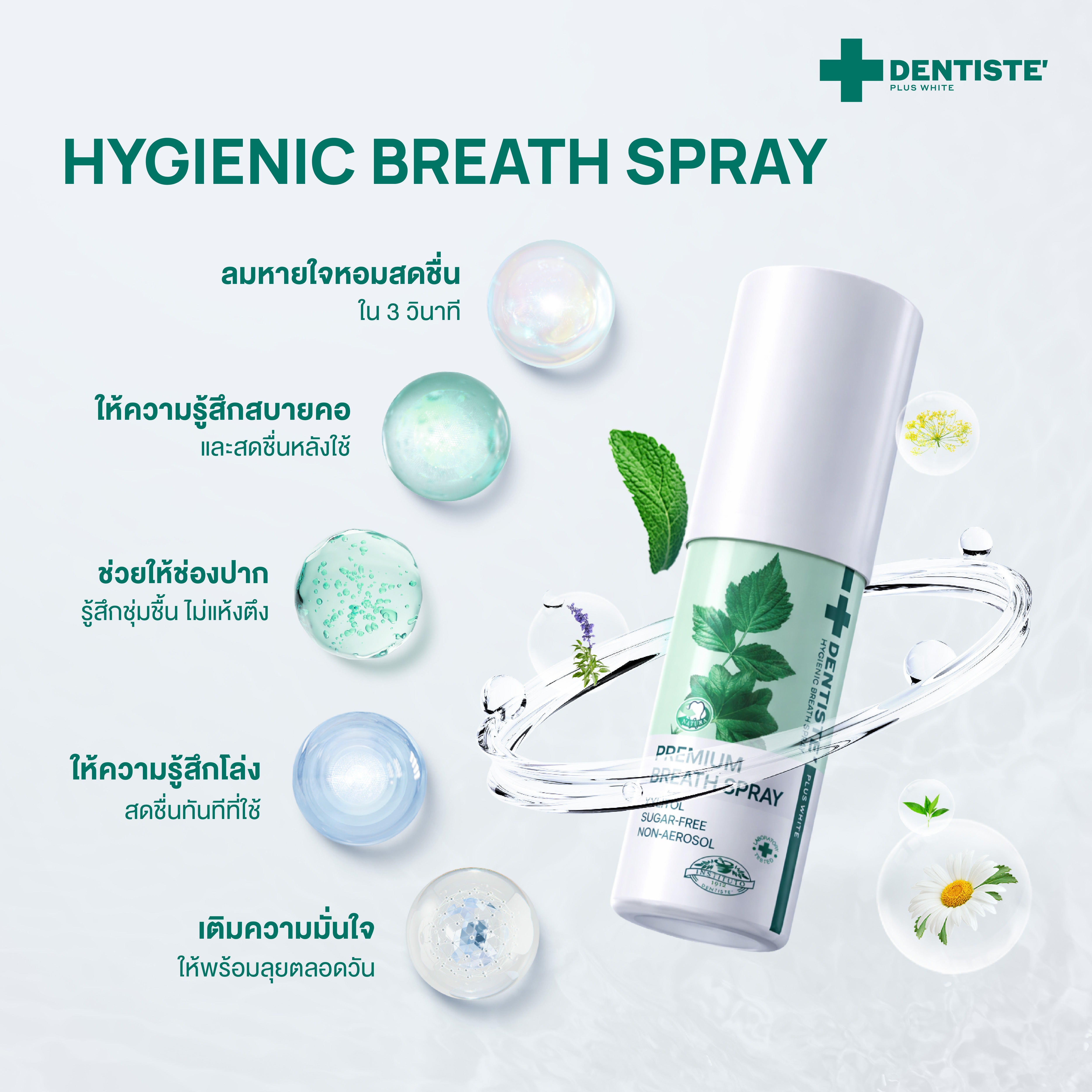 FRESH SPRAY EXCLUSIVE SET X LISA – Dentiste