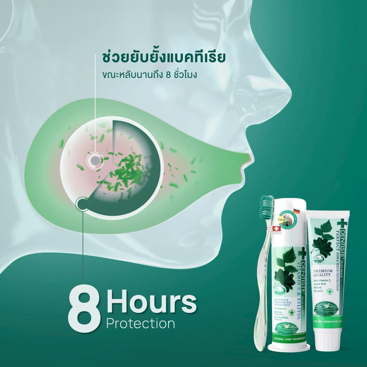 [Buy 1 Get 1] Original Nighttime Toothpaste 100 g Free! Ergonomic Toothbrush - Image 5