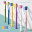 6580 Gum & Teeth Toothbrush