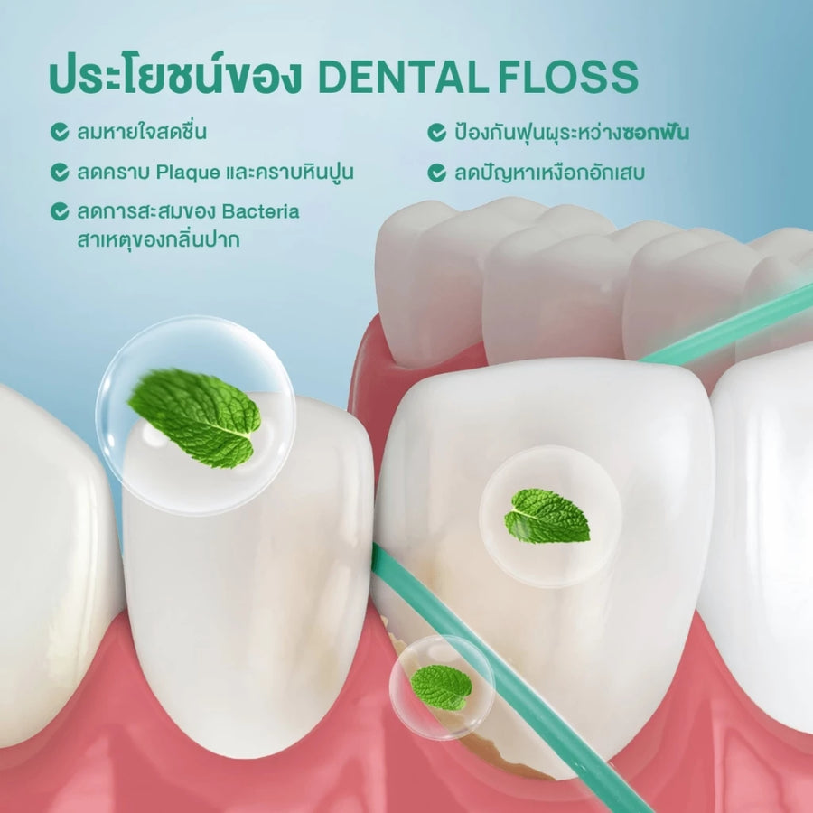 Premium Refreshing Floss Italy
